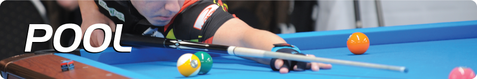 longonicues carom banner